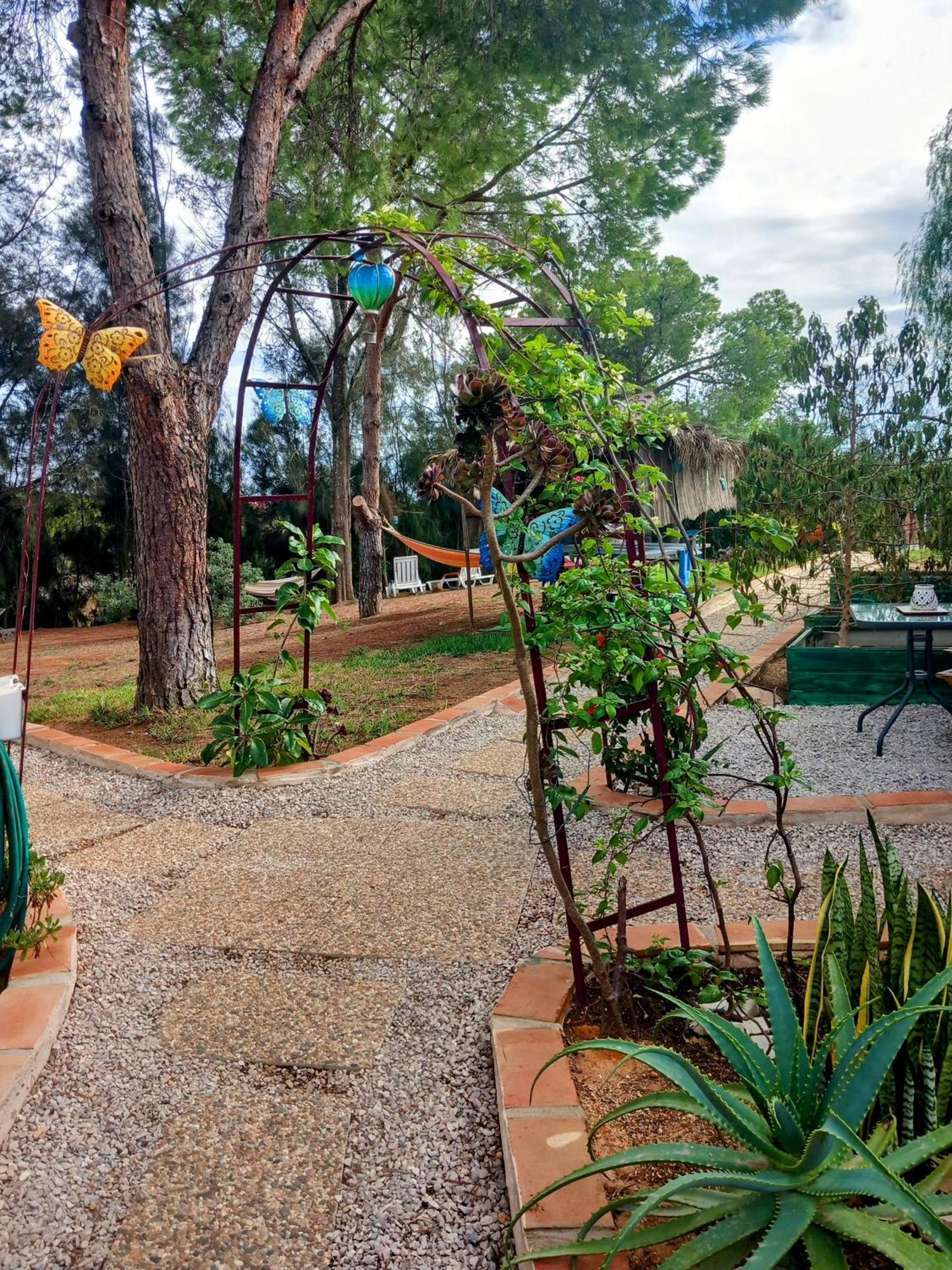 Apartament Boheme Valdareina, Piscine Chauffee, Benagil-Carvoeiro Carvoeiro  Zewnętrze zdjęcie